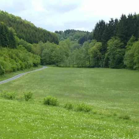 Apartment Near The Area Schmallenberg