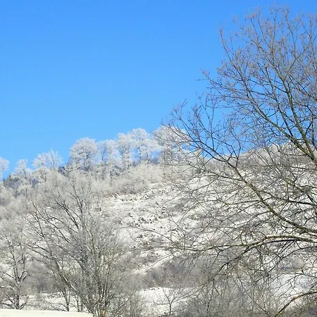Near The Area